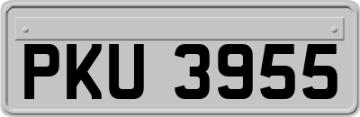 PKU3955