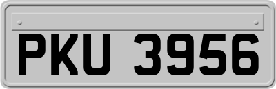 PKU3956