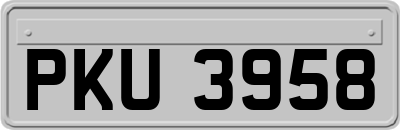 PKU3958