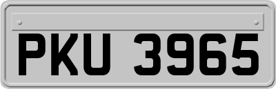 PKU3965