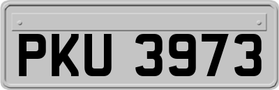 PKU3973