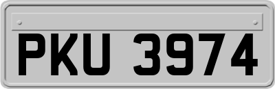 PKU3974