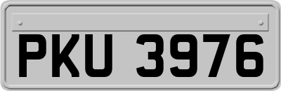 PKU3976