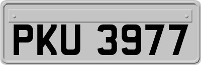 PKU3977