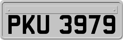 PKU3979