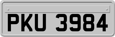 PKU3984