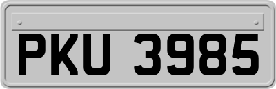 PKU3985