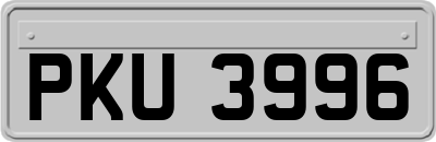 PKU3996