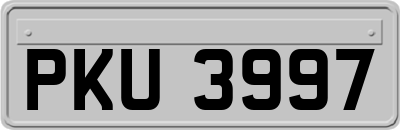 PKU3997