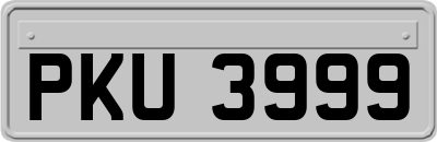 PKU3999