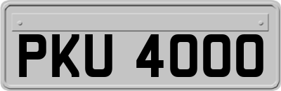 PKU4000