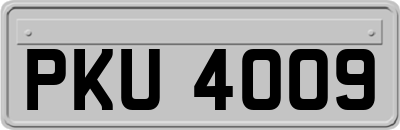 PKU4009