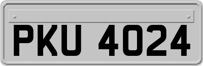 PKU4024