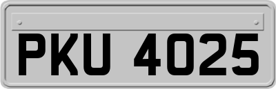 PKU4025