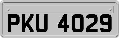 PKU4029