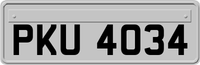 PKU4034