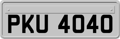 PKU4040