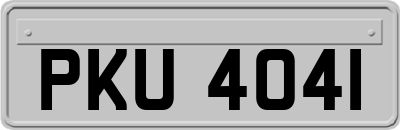 PKU4041