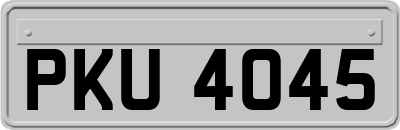 PKU4045