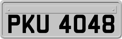 PKU4048