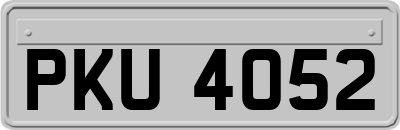 PKU4052