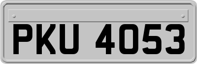 PKU4053