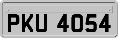 PKU4054