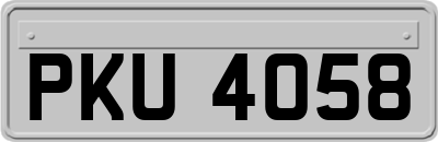 PKU4058