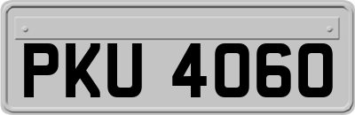 PKU4060