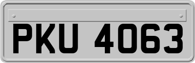 PKU4063