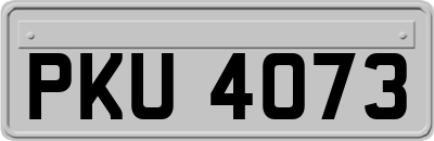 PKU4073
