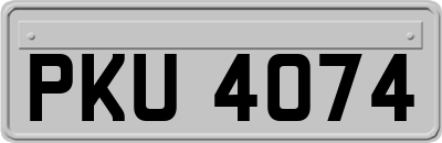 PKU4074