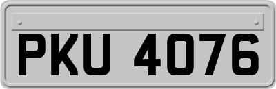 PKU4076