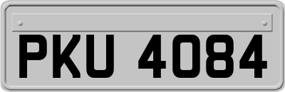 PKU4084