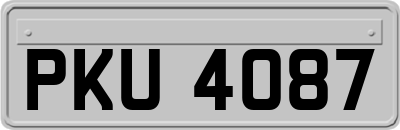 PKU4087