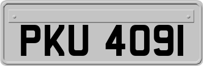 PKU4091