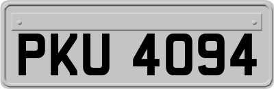 PKU4094