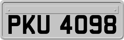 PKU4098