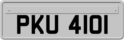 PKU4101