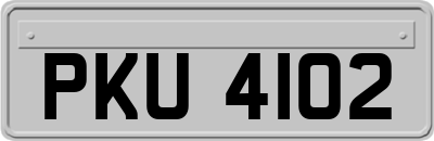 PKU4102