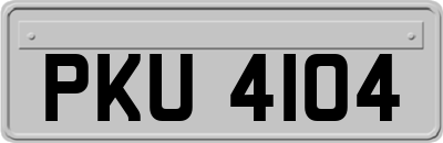 PKU4104