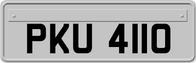 PKU4110