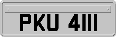 PKU4111