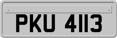 PKU4113