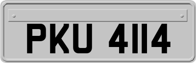 PKU4114