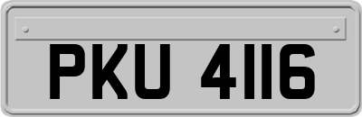 PKU4116