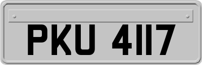 PKU4117