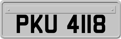 PKU4118
