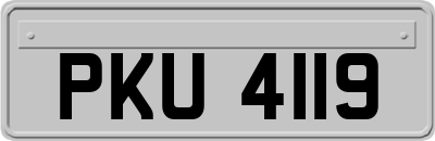 PKU4119