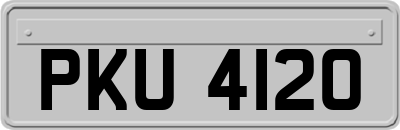 PKU4120